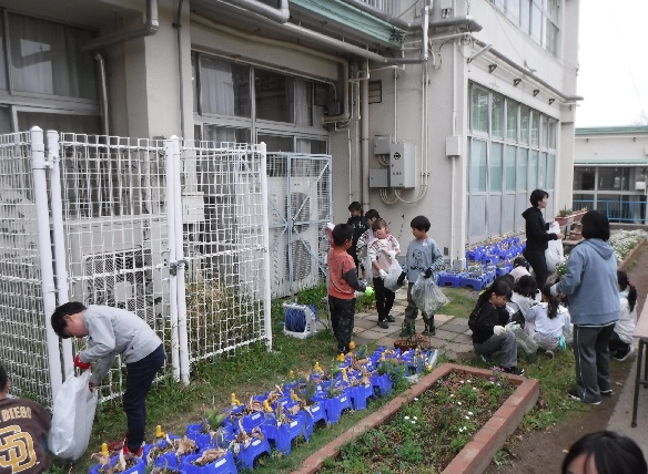 除草作業1
