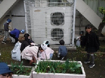 除草作業2