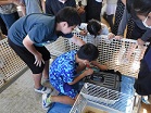 飼育委員会3