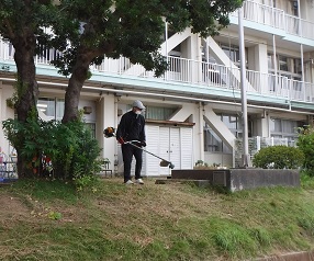 除草作業1