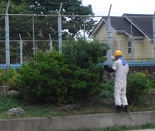 除草作業2