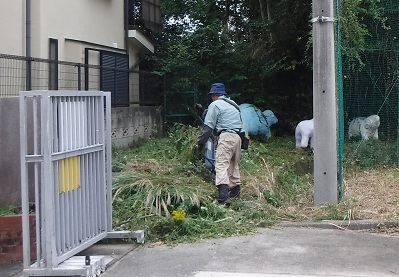除草作業3