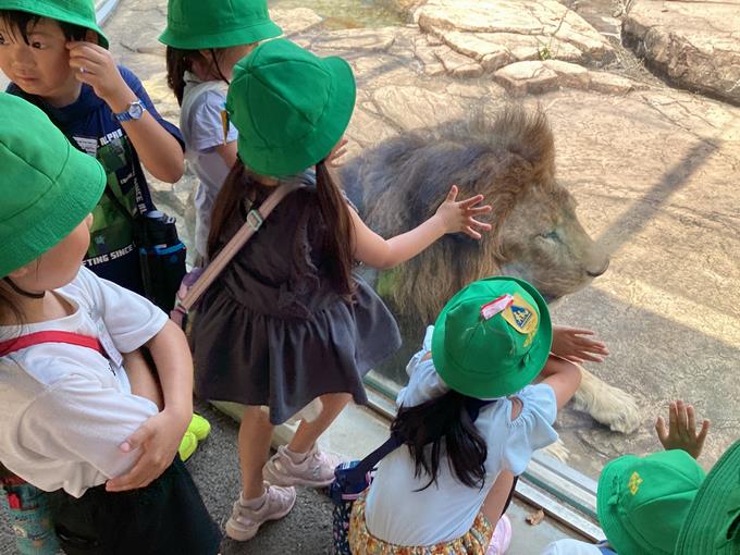 動物園1