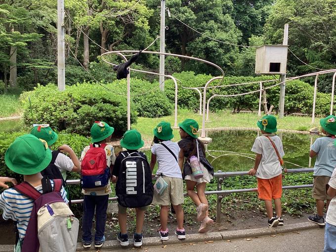 動物園2