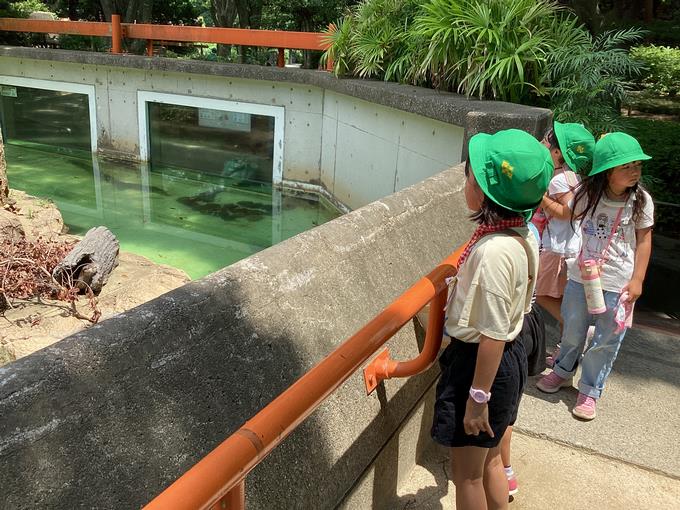 動物園3