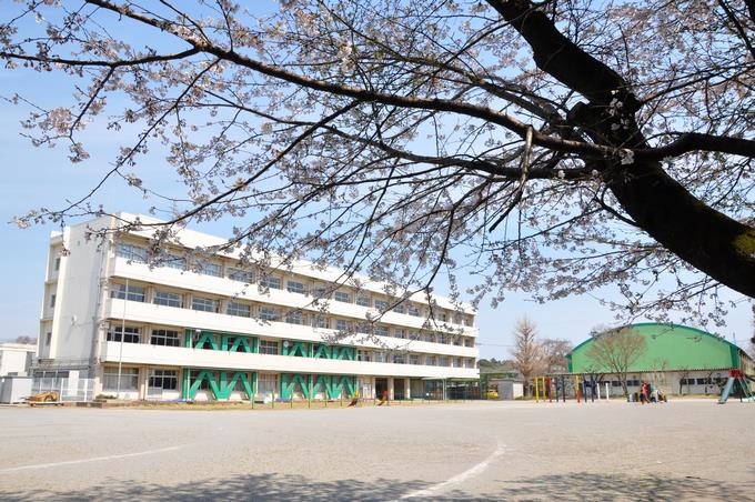 豊富小学校