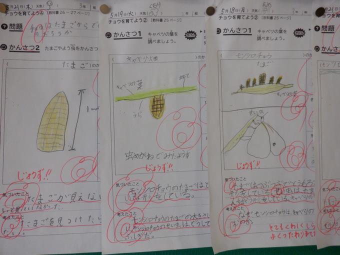 卵の様子がよく観察できていますね。