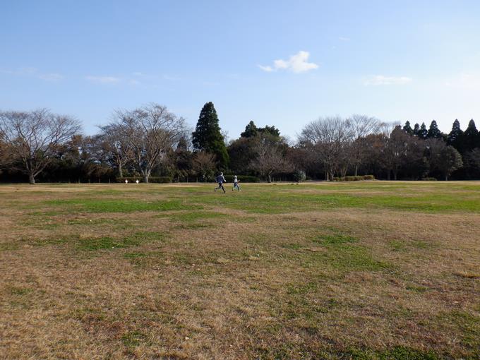 ハイキングの後に、こんなに広いところでドロケイをしたようです。6年生の体力半端ないです…。