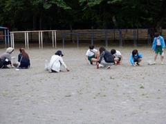 除草作業