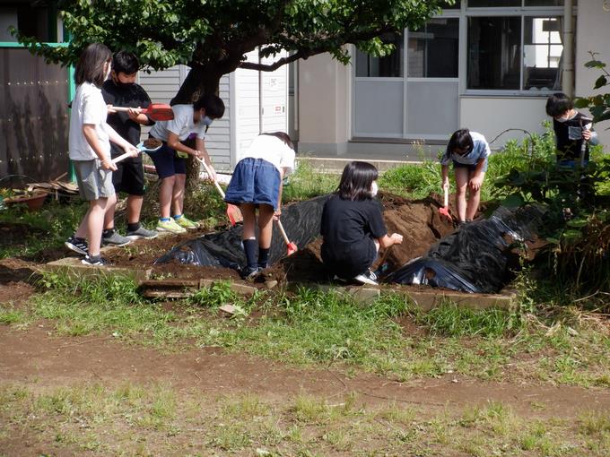 みんなで協力をして、マルチを張りました。