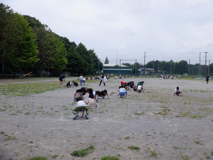 全校草取り