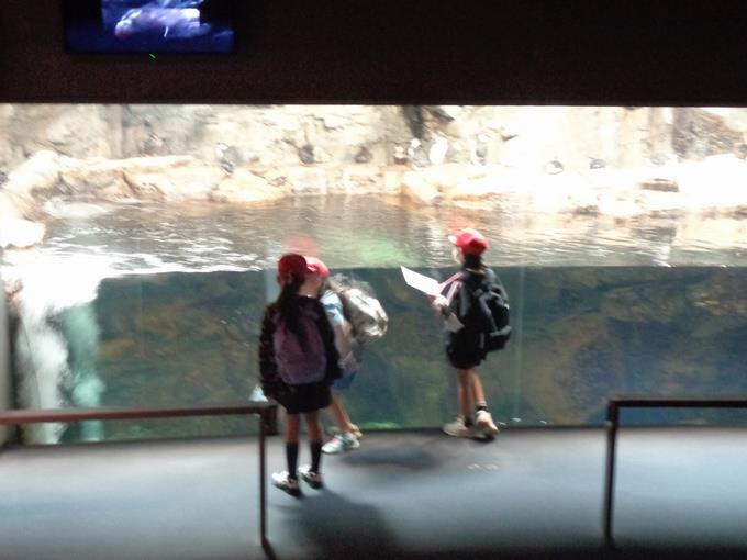 葛西臨海水族園③