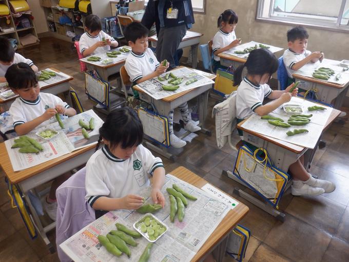 さやむき