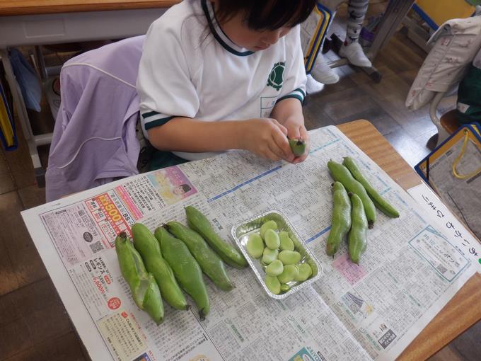 ていねいに