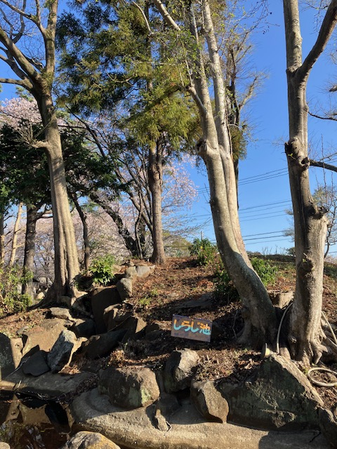 しらじ池としらじ山