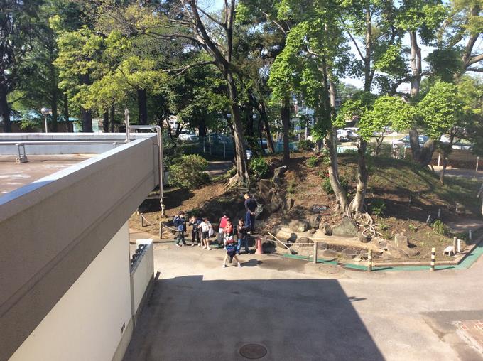 しらじ池の水をぬきます