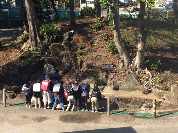 しらじ池の水をぬきます