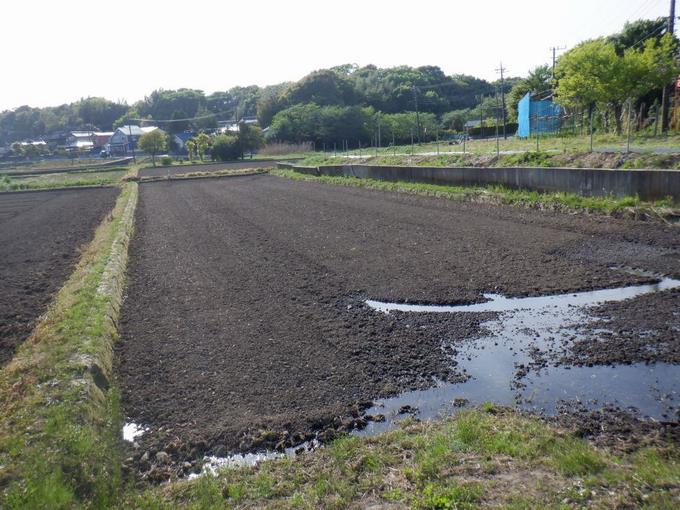 田植えの準備は万端