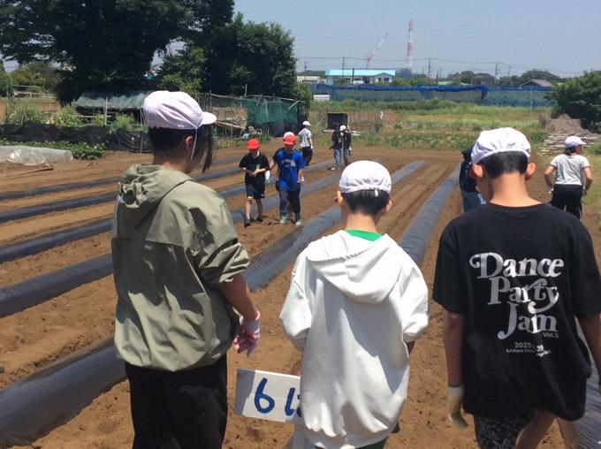 縦割り班の畝があります