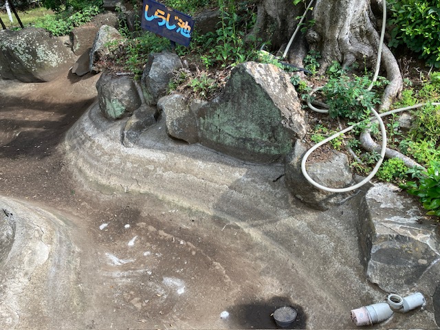 しらじ池