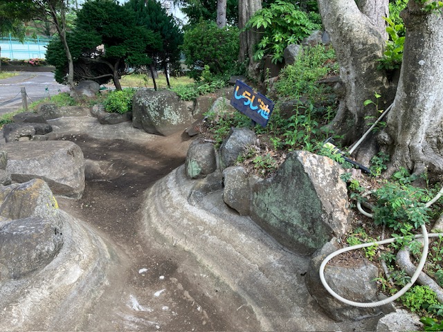 しらじ池