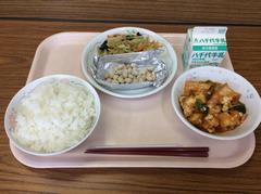 5月25日の給食