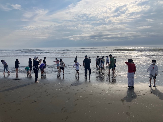 海岸散歩