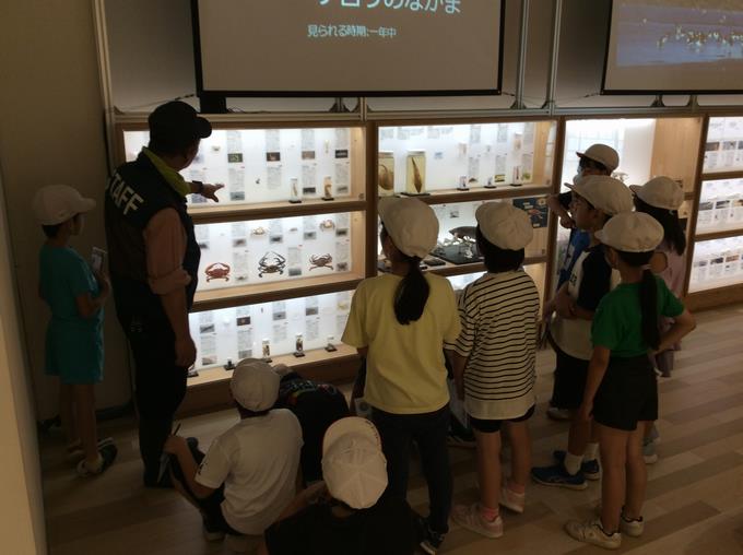 3年生＠環境学習館
