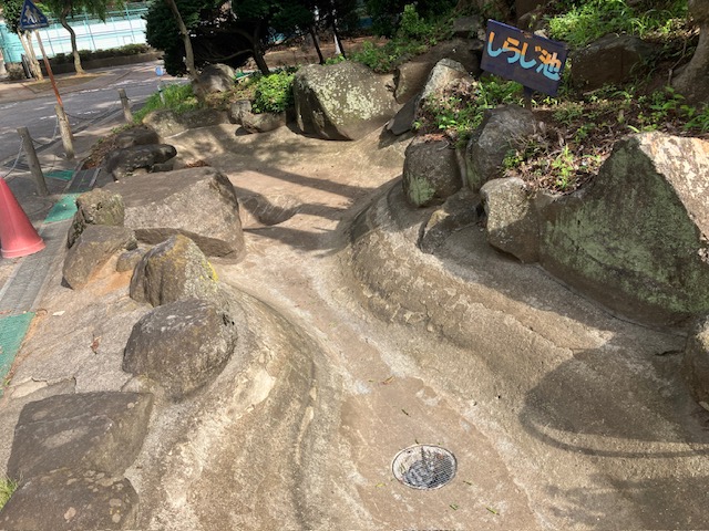 しらじ池