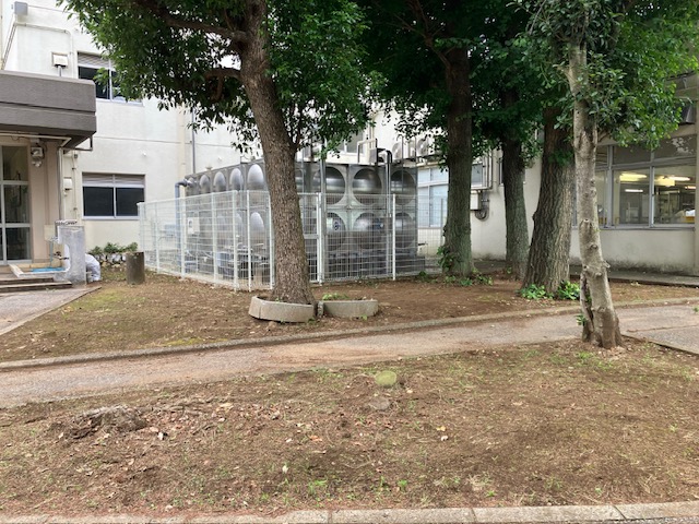 きれいになりました
