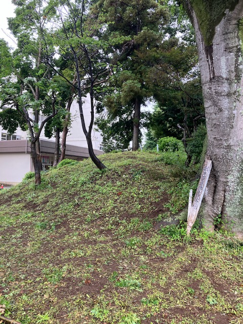 しらじ山の整備