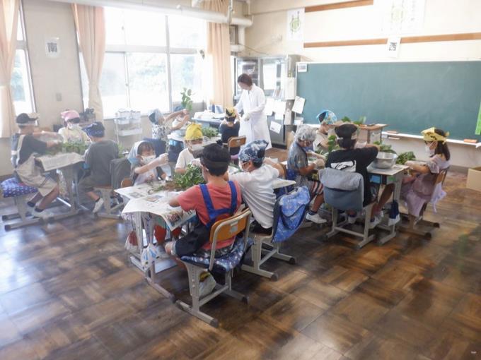 枝豆もぎ取り体験