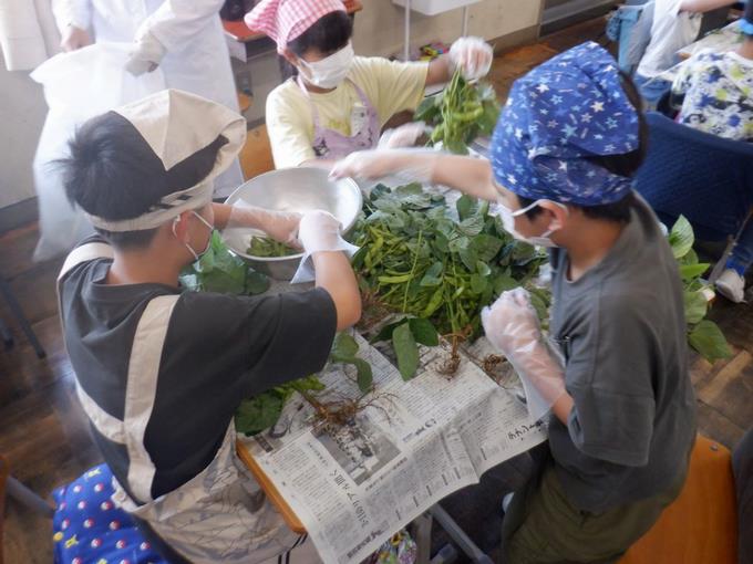 枝豆もぎ取り体験