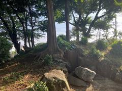 しらじ山