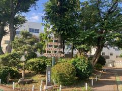 しらじ山