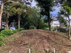 しらじ山