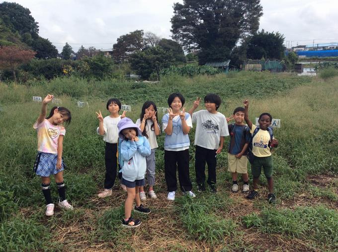 さつまいも畑の見学