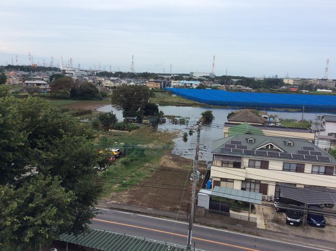 さつまいも畑