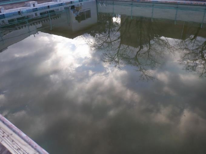 緑色の水面