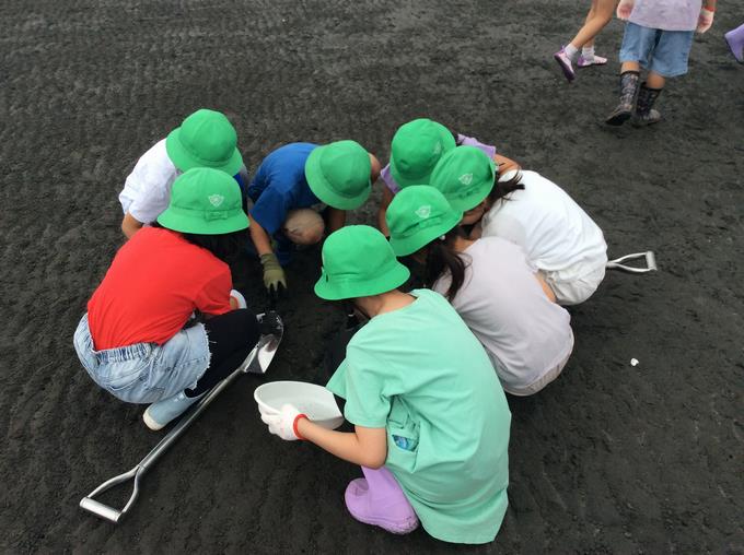 干潟の学習の様子