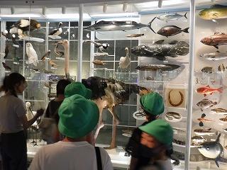 科学博物館では、たくさんの展示物を班に分かれて見学しました。