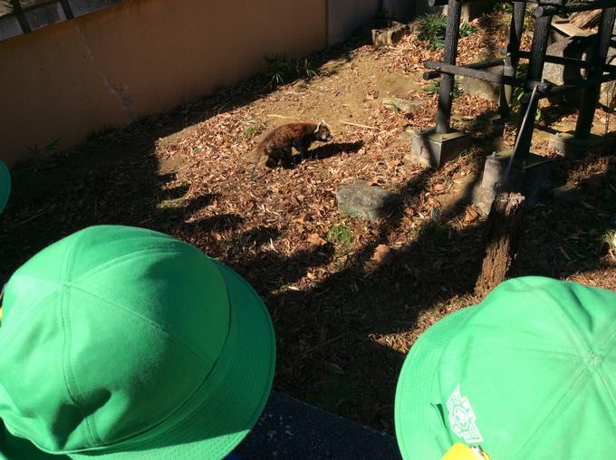 風太くんを見る子供たち