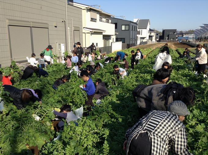 頑張って抜きました