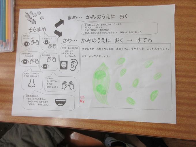 しっかり観察しました
