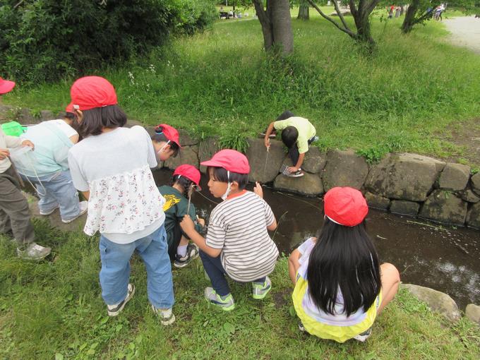 小川で生き物探し