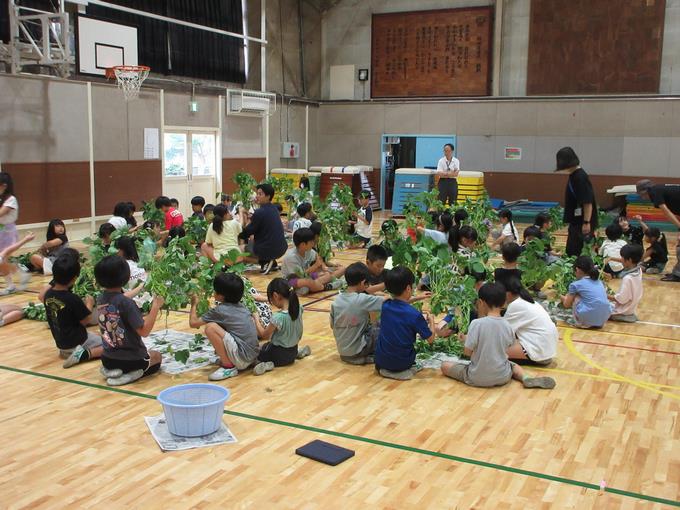 枝豆のさやむき体験