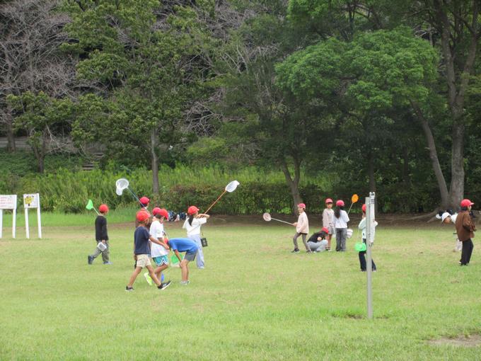 虫取りの様子