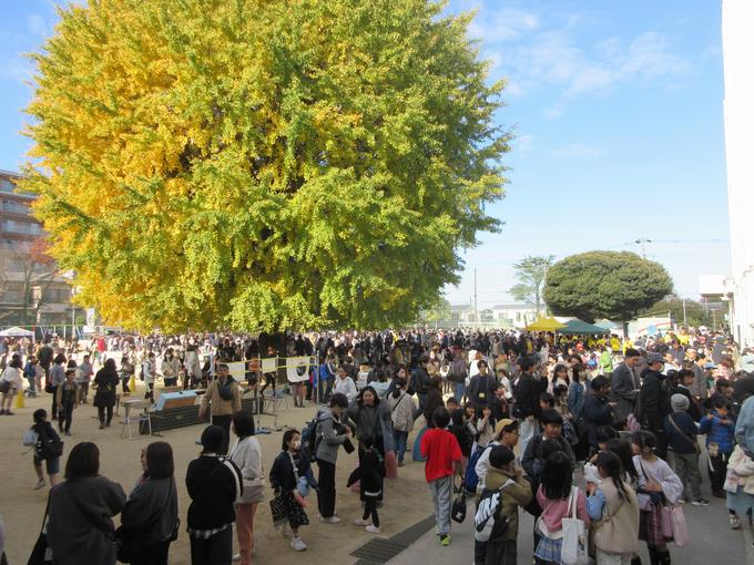 校庭は大賑わい