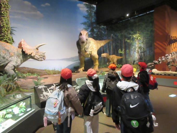 地球の生い立ちゾーン