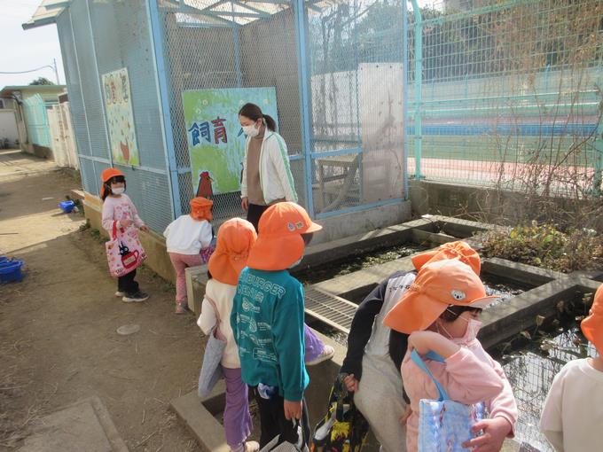 飼育小屋と観察池